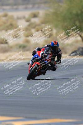 media/May-14-2023-SoCal Trackdays (Sun) [[024eb53b40]]/Turn 5 Tree of Life (1125am)/